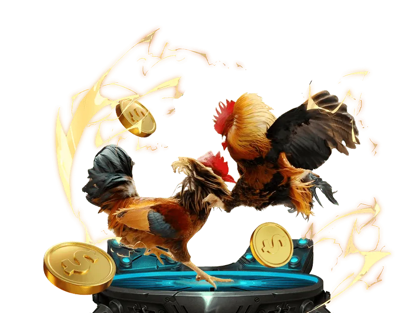 Cá cược Esports fb 88